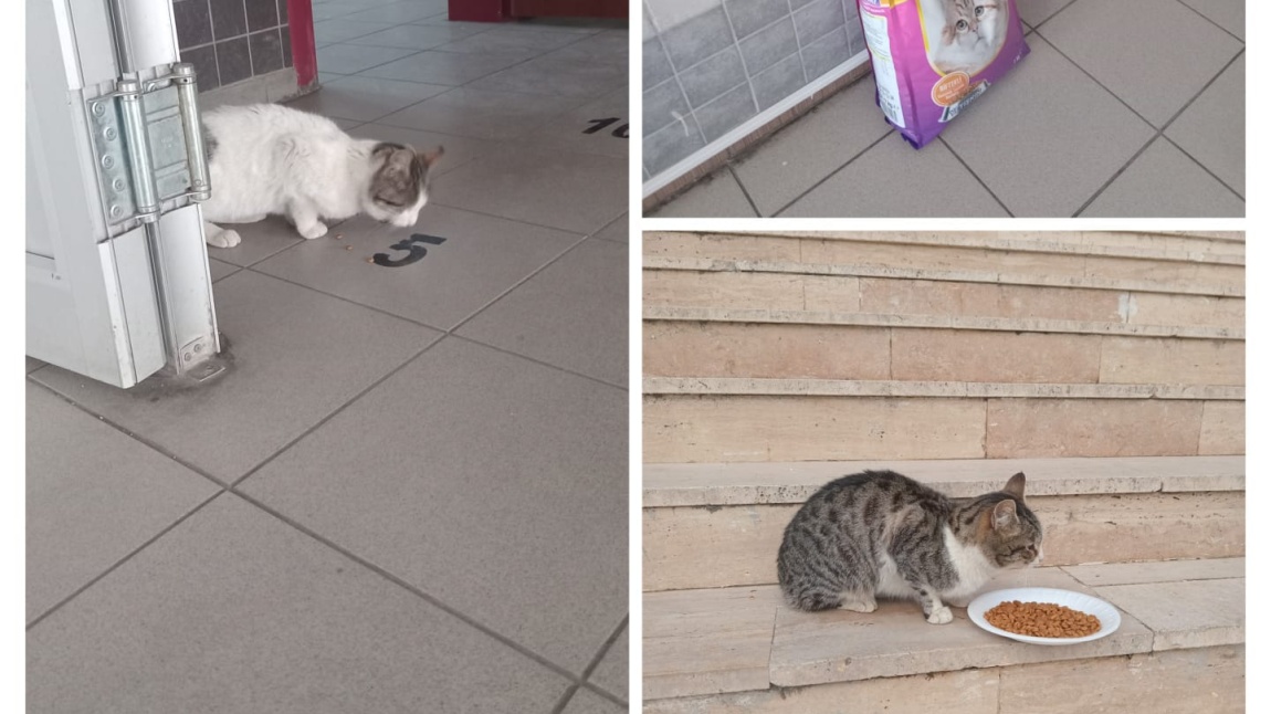 OKULUMUZ MİNİK DOSTLARIMIZI DA UNUTMUYOR.